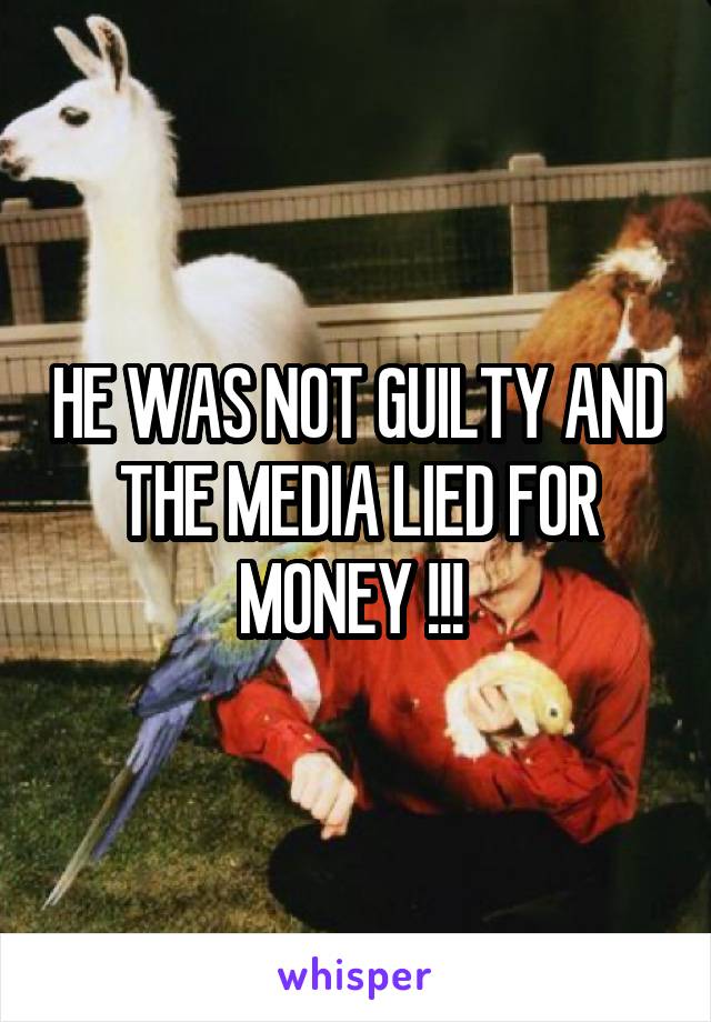 HE WAS NOT GUILTY AND THE MEDIA LIED FOR MONEY !!! 