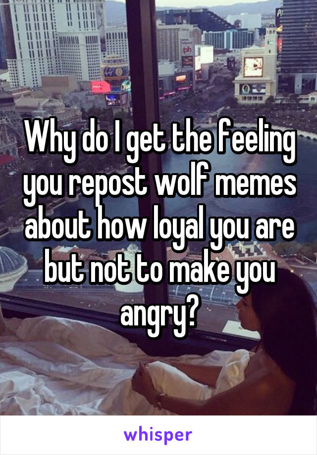 Why do I get the feeling you repost wolf memes about how loyal you are but not to make you angry?