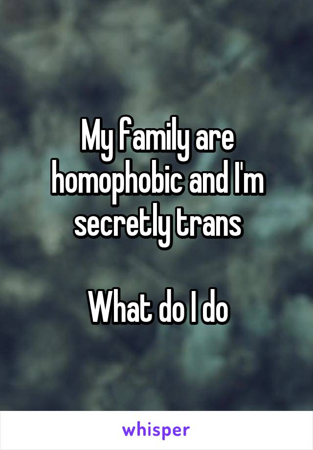 My family are homophobic and I'm secretly trans

What do I do