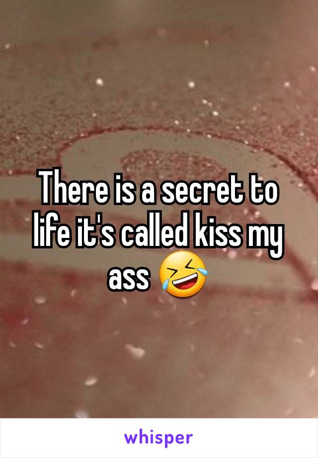 There is a secret to life it's called kiss my ass 🤣