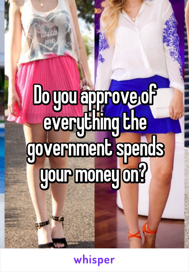 Do you approve of everything the government spends your money on? 