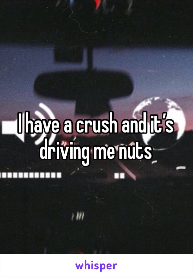 I have a crush and it’s driving me nuts