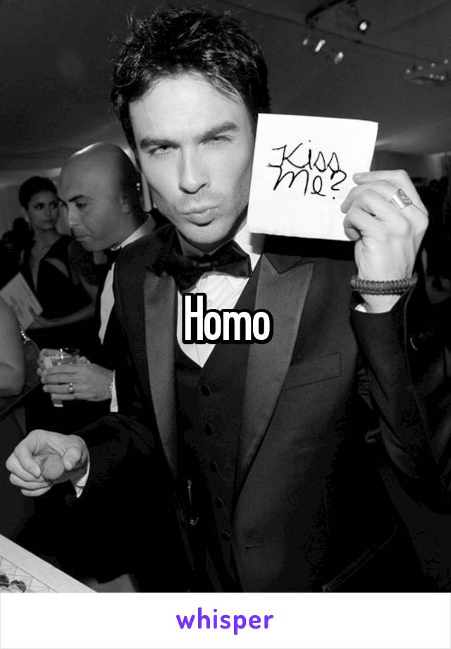 Homo