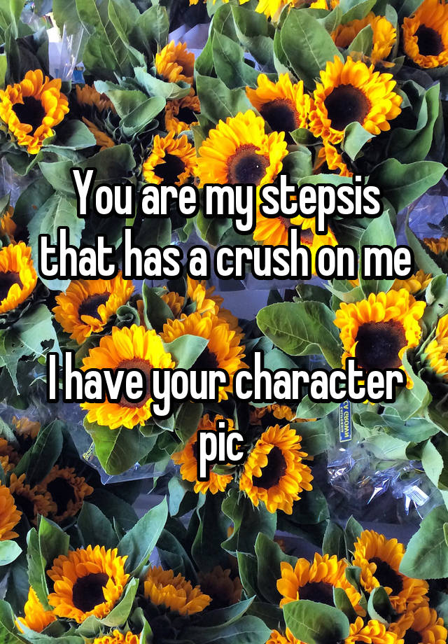 You are my stepsis that has a crush on me

I have your character pic 