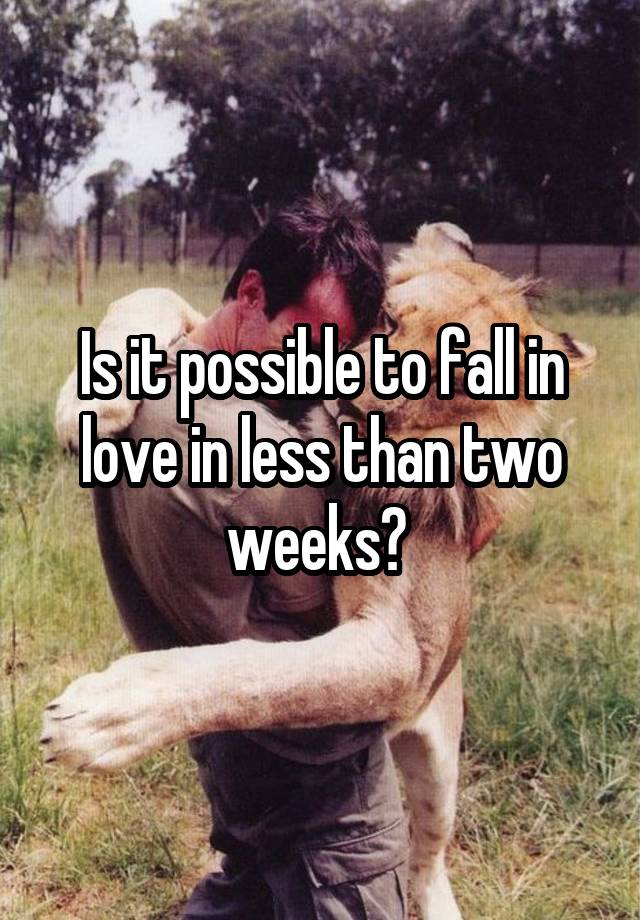 Is it possible to fall in love in less than two weeks? 