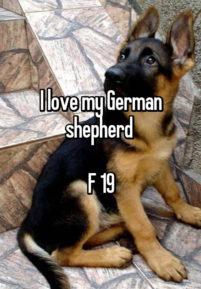 I love my German shepherd 

F 19