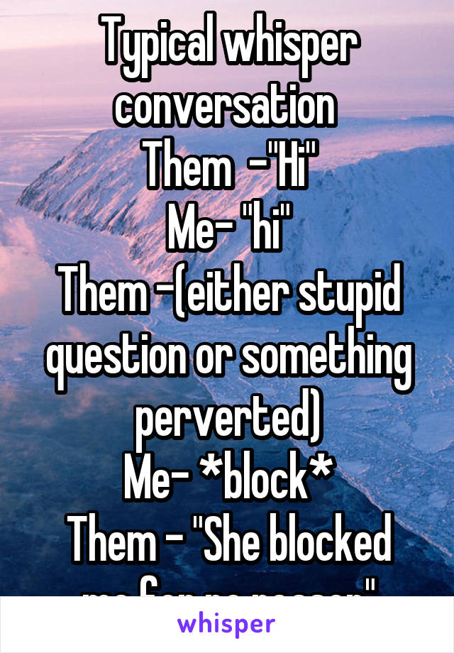 Typical whisper conversation 
Them  -"Hi"
Me- "hi"
Them -(either stupid question or something perverted)
Me- *block*
Them - "She blocked me for no reason"