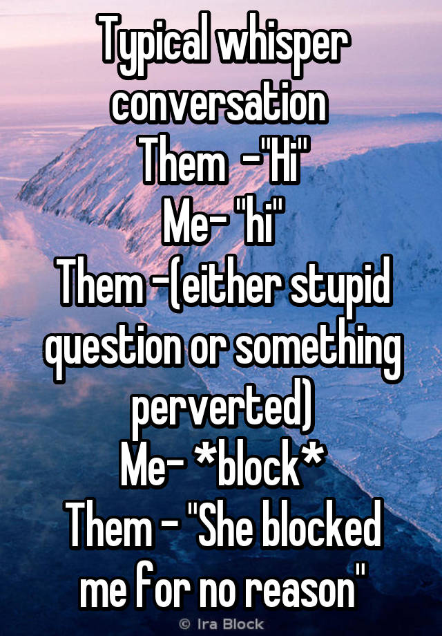 Typical whisper conversation 
Them  -"Hi"
Me- "hi"
Them -(either stupid question or something perverted)
Me- *block*
Them - "She blocked me for no reason"