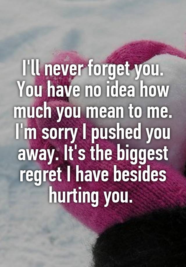 I'll never forget you. You have no idea how much you mean to me. I'm sorry I pushed you away. It's the biggest regret I have besides hurting you. 