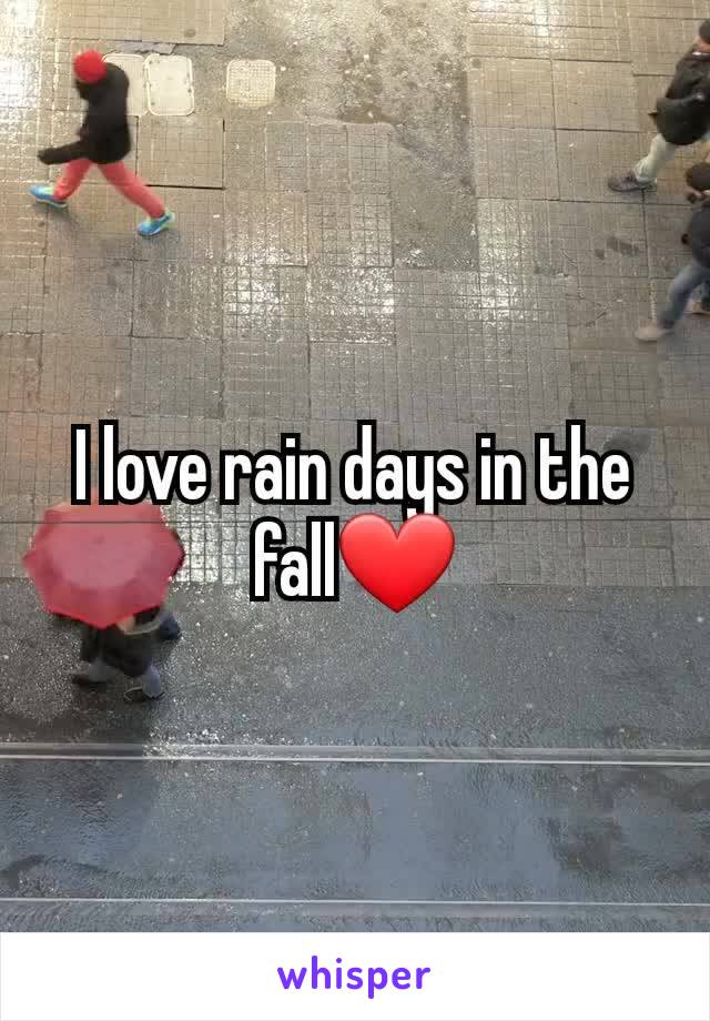 I love rain days in the fall❤️