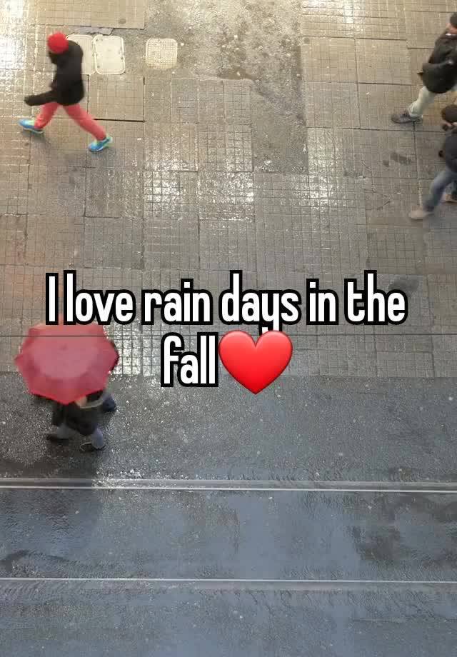 I love rain days in the fall❤️