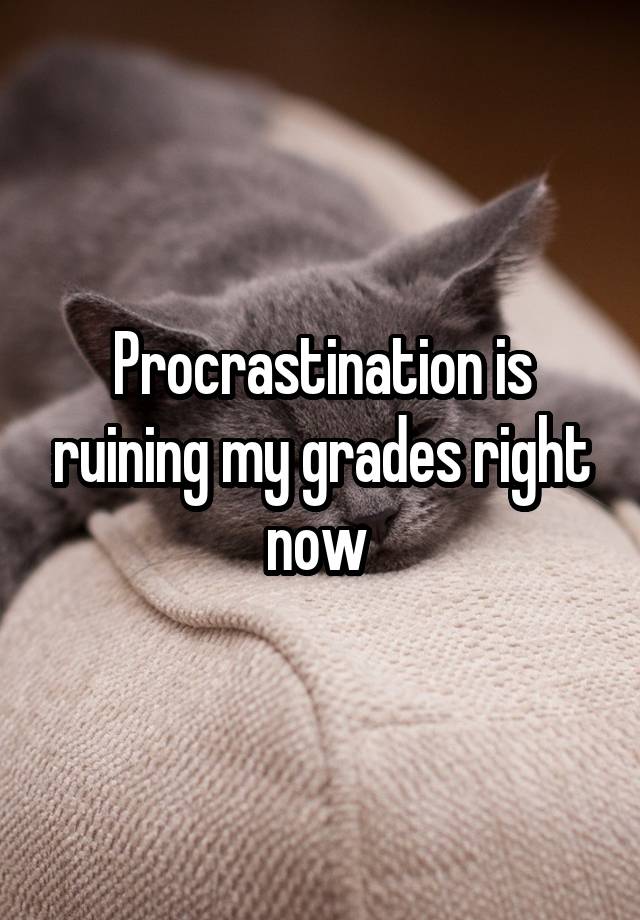 Procrastination is ruining my grades right now 