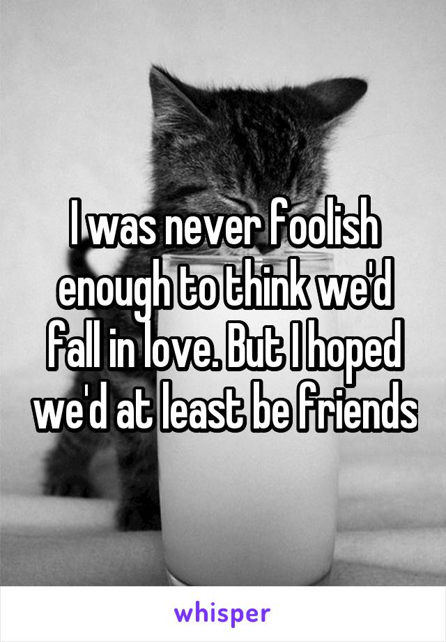 I was never foolish enough to think we'd fall in love. But I hoped we'd at least be friends