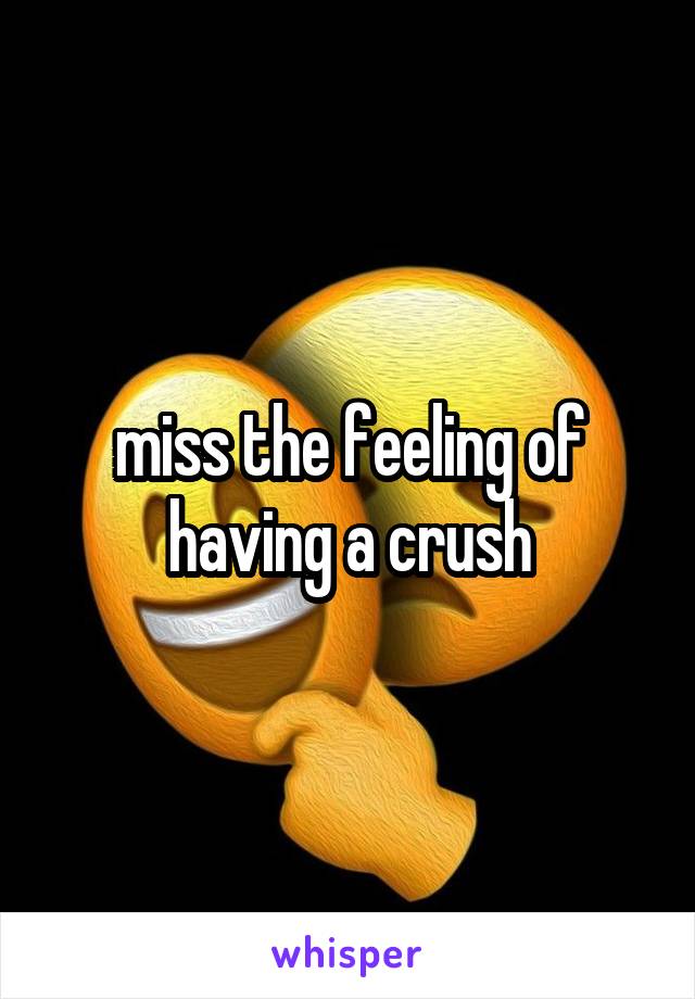 miss the feeling of having a crush