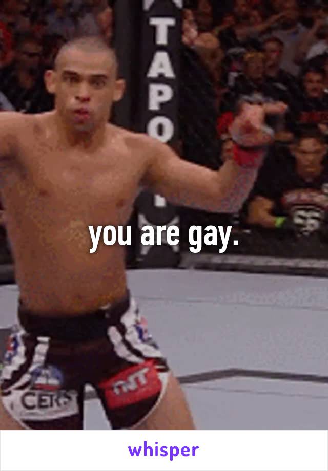 you are gay.