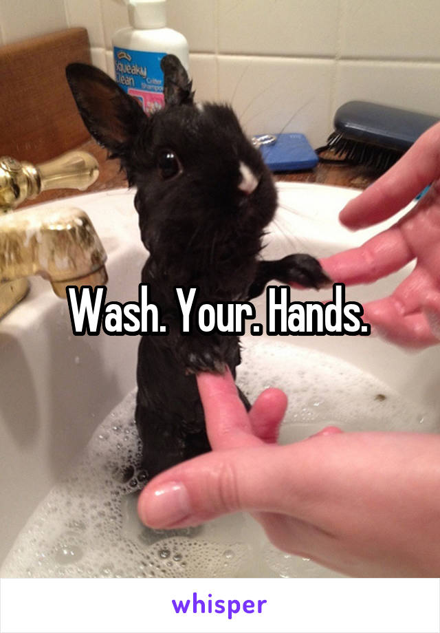 Wash. Your. Hands. 