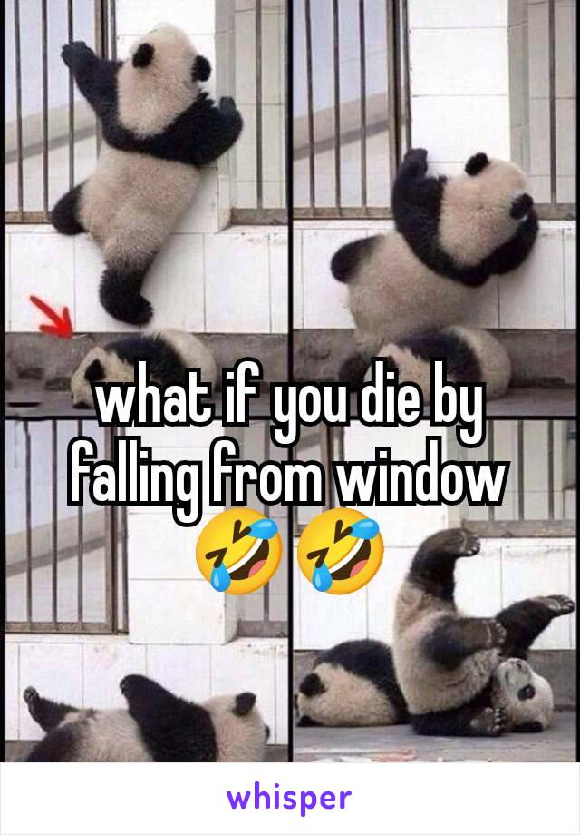 what if you die by falling from window 🤣🤣