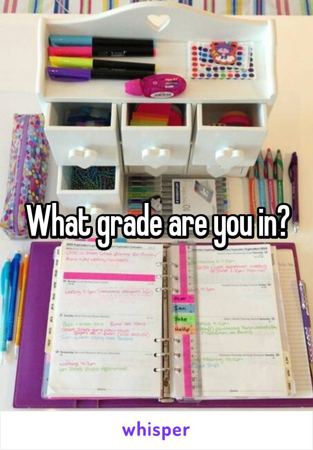 What grade are you in?