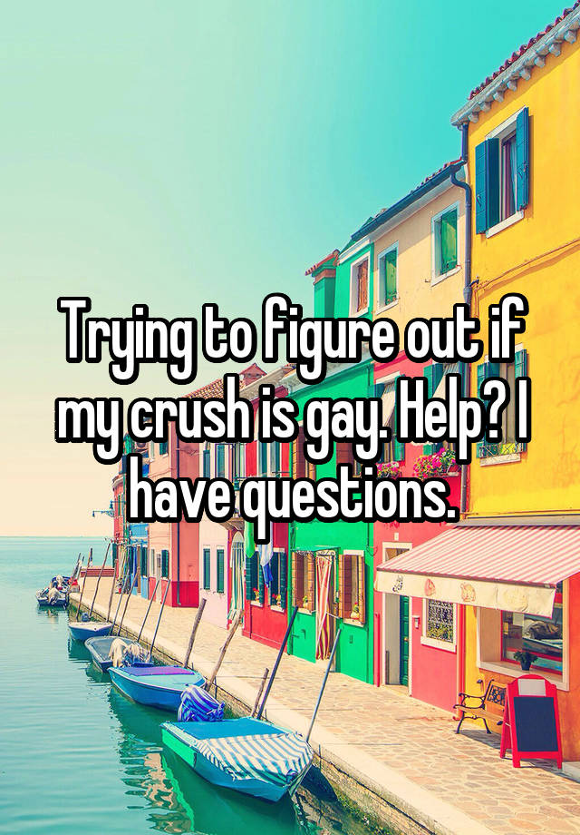 Trying to figure out if my crush is gay. Help? I have questions.