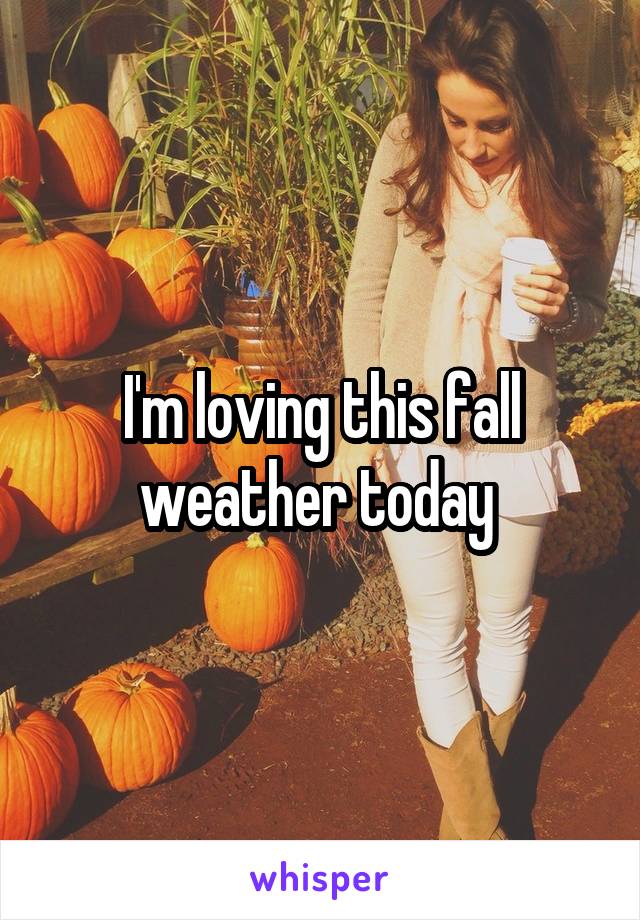 I'm loving this fall weather today 