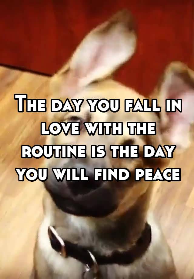 The day you fall in love with the routine is the day you will find peace