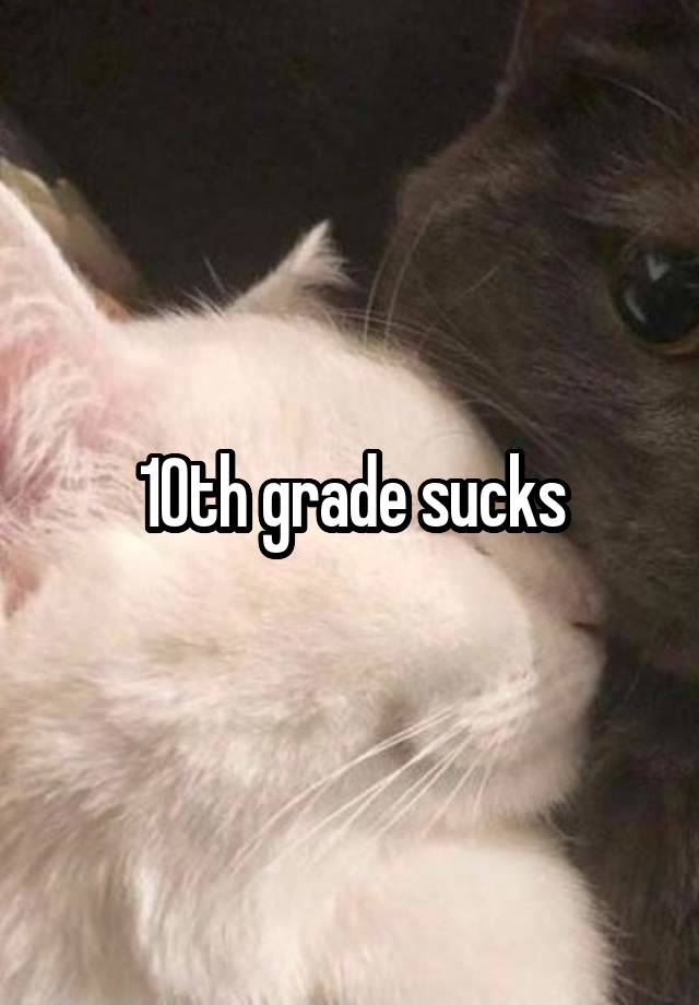 10th grade sucks