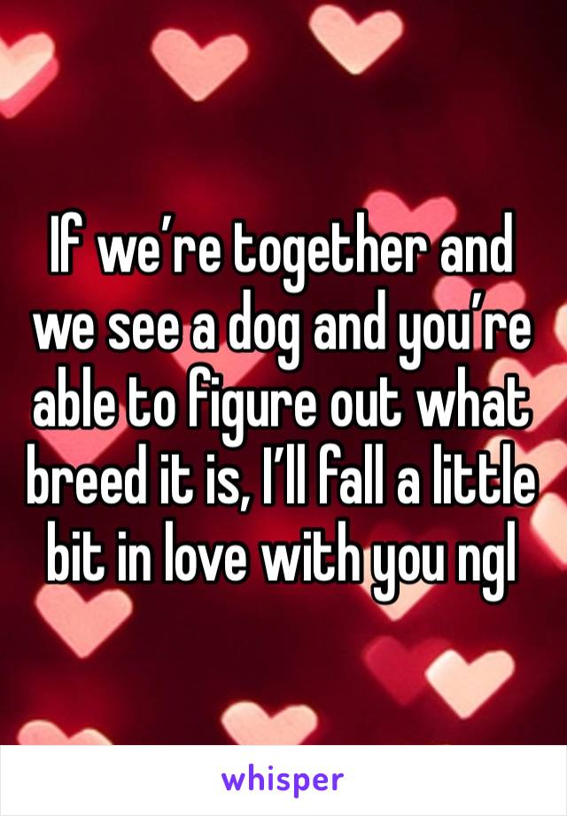 If we’re together and we see a dog and you’re able to figure out what breed it is, I’ll fall a little bit in love with you ngl