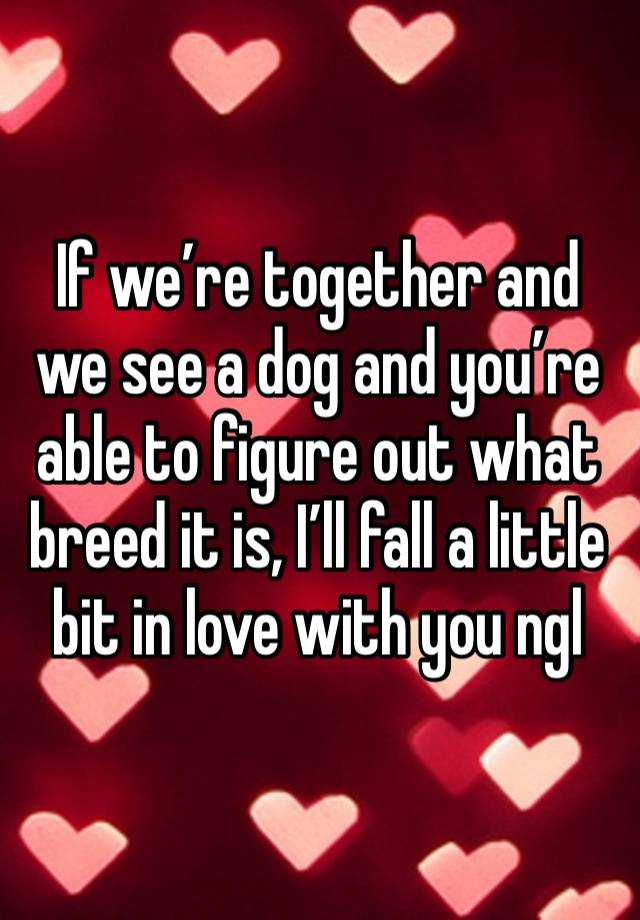 If we’re together and we see a dog and you’re able to figure out what breed it is, I’ll fall a little bit in love with you ngl