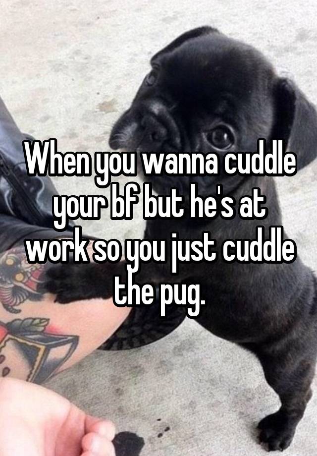 When you wanna cuddle your bf but he's at work so you just cuddle the pug.