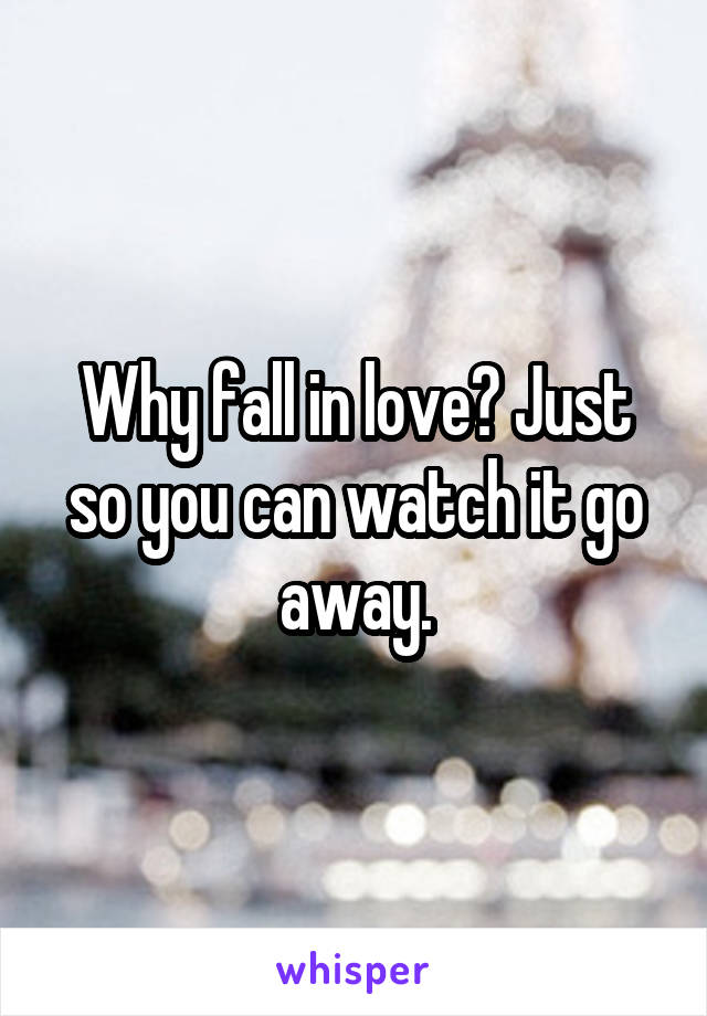 Why fall in love? Just so you can watch it go away.