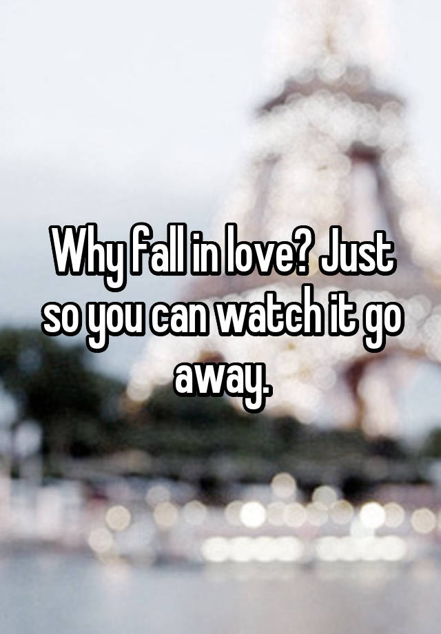 Why fall in love? Just so you can watch it go away.