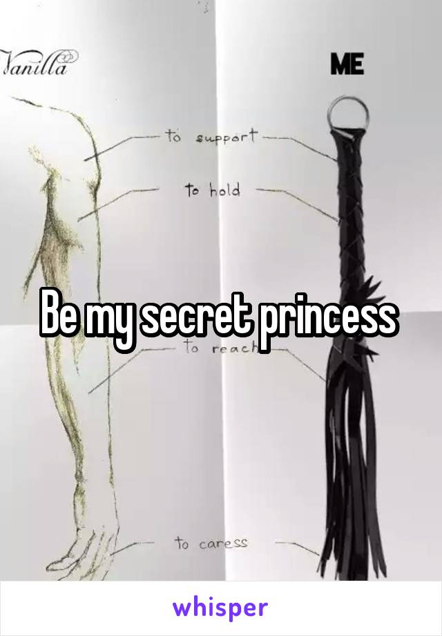 Be my secret princess 