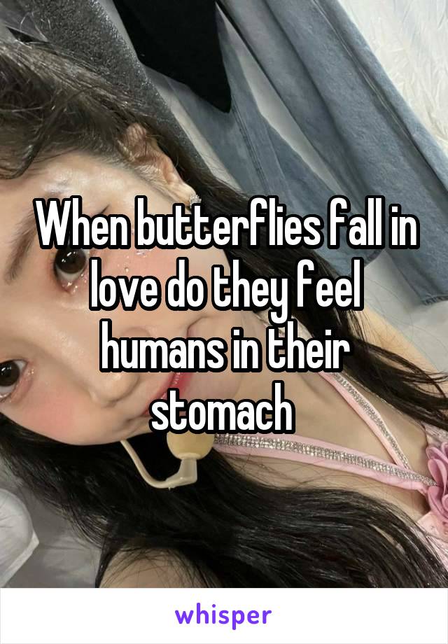 When butterflies fall in love do they feel humans in their stomach 