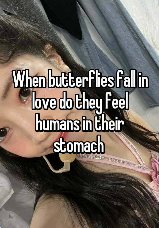 When butterflies fall in love do they feel humans in their stomach 