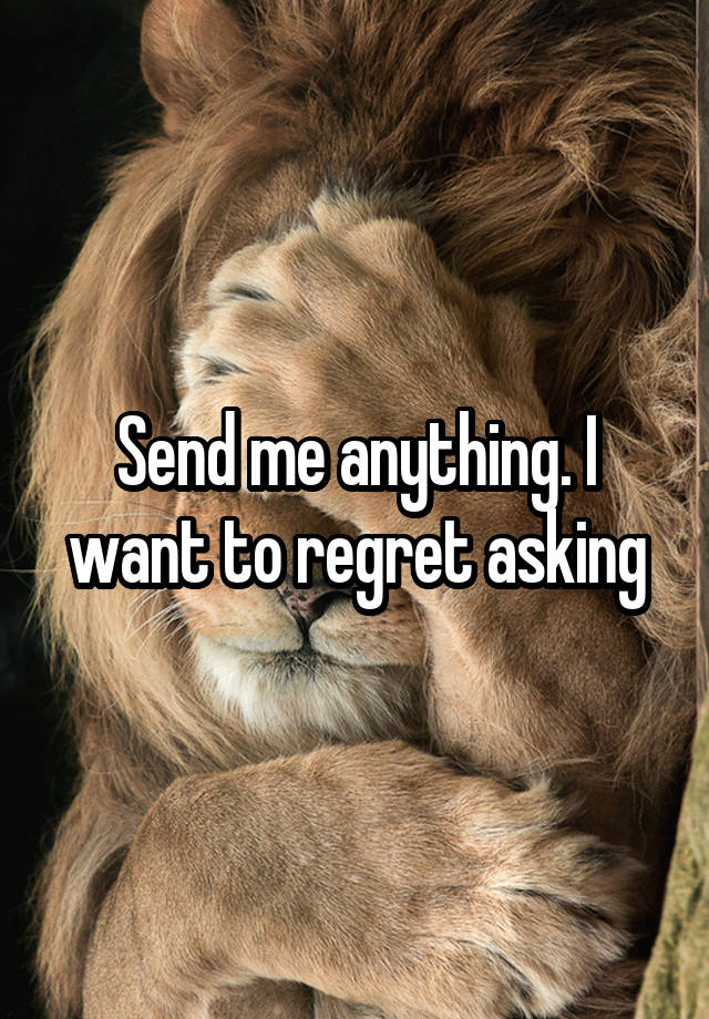 Send me anything. I want to regret asking