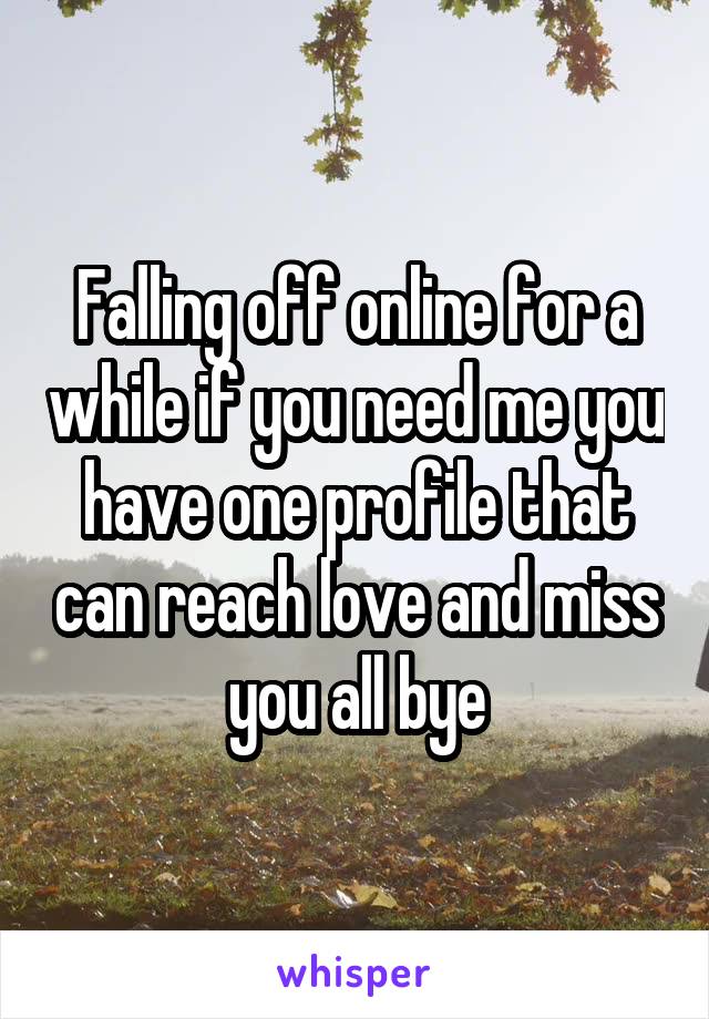 Falling off online for a while if you need me you have one profile that can reach love and miss you all bye