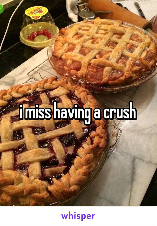 i miss having a crush 