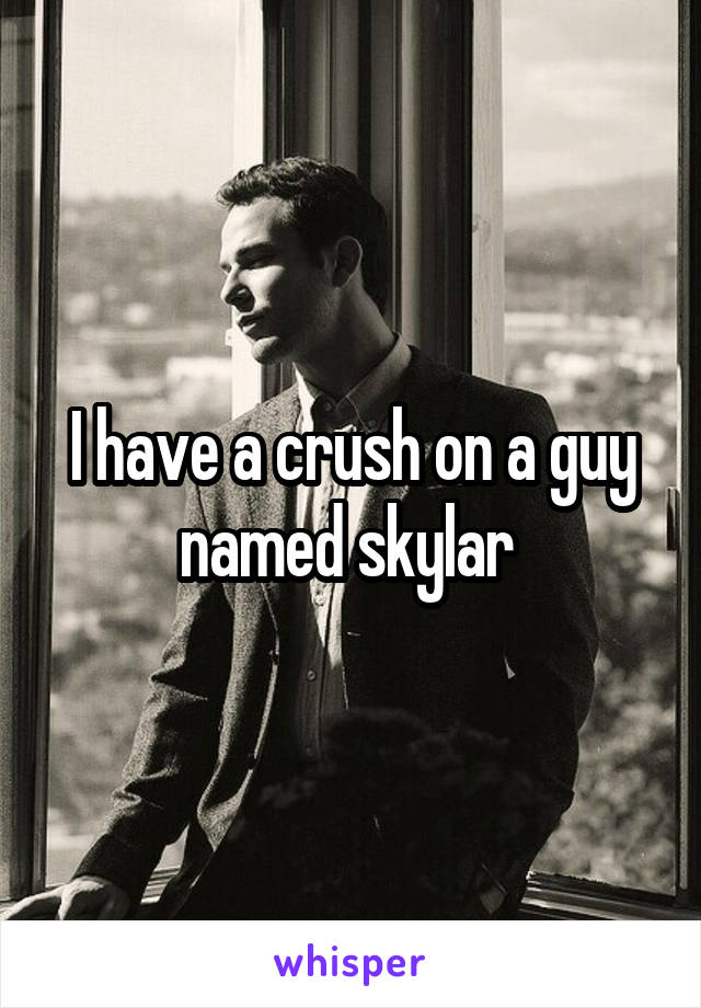 I have a crush on a guy named skylar 