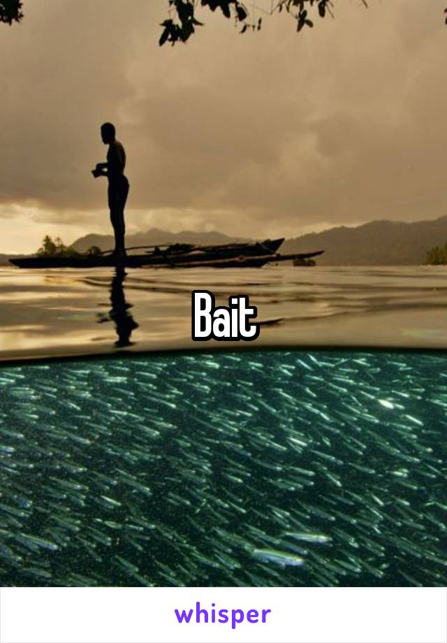 Bait