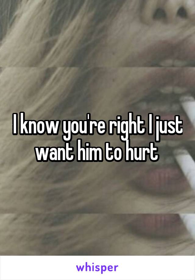 I know you're right I just want him to hurt 