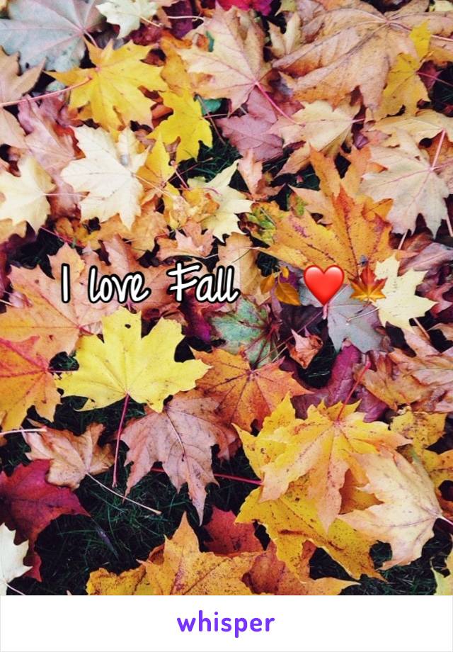 I love Fall 🍂❤️🍁