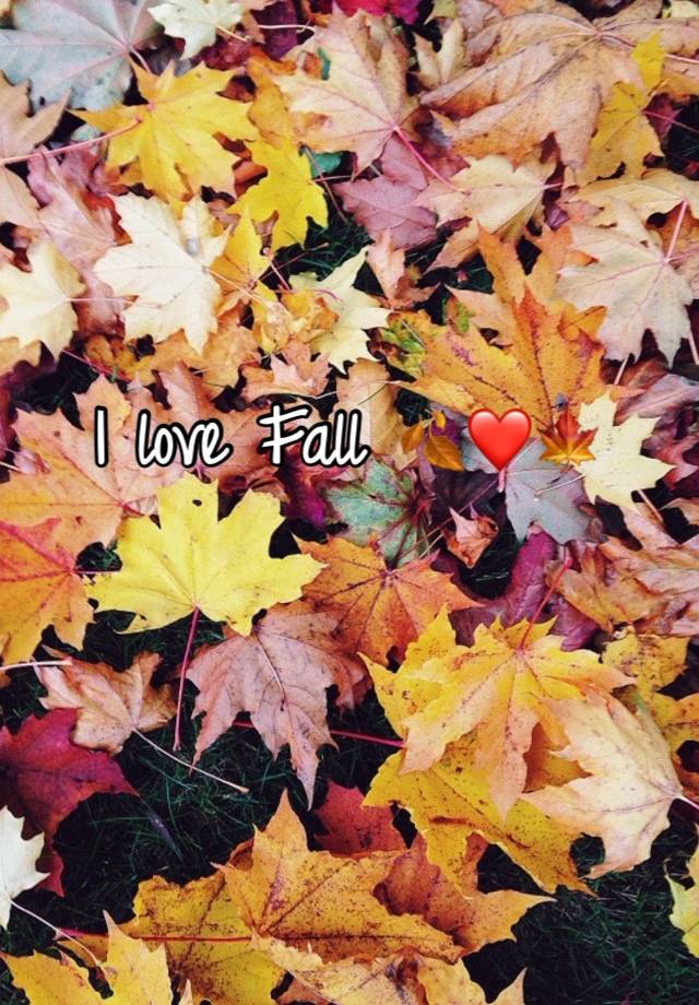 I love Fall 🍂❤️🍁