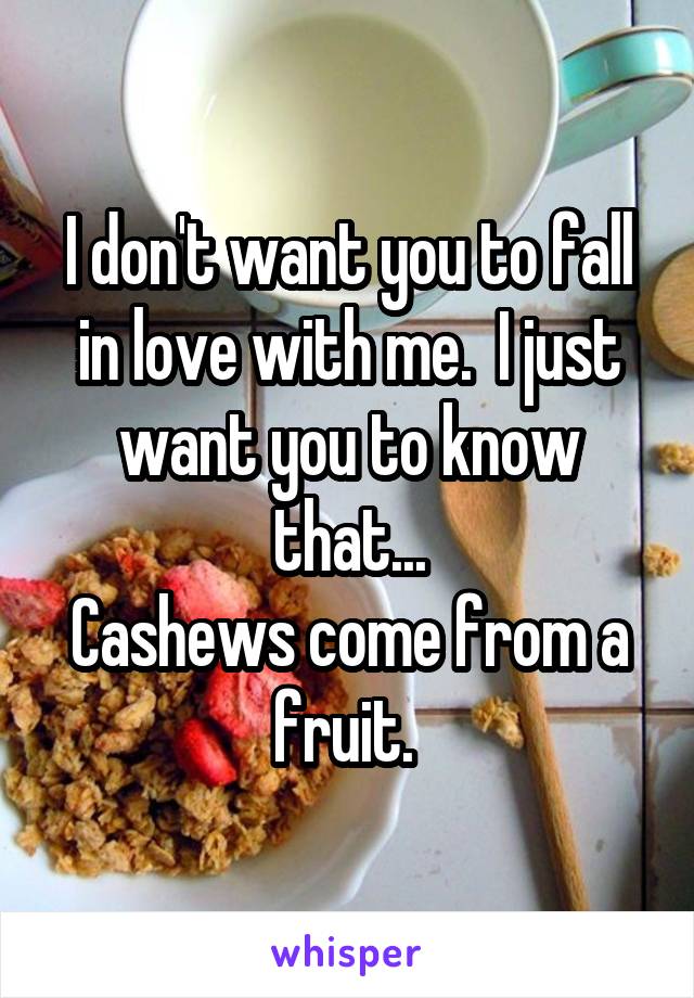 I don't want you to fall in love with me.  I just want you to know that...
Cashews come from a fruit. 