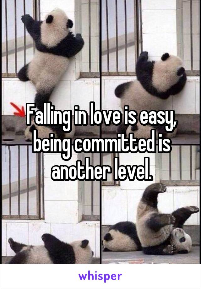 Falling in love is easy, being committed is another level.