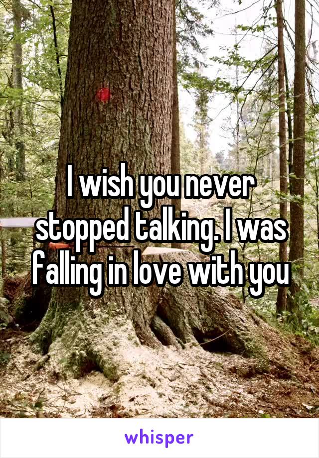 I wish you never stopped talking. I was falling in love with you