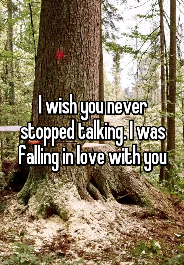 I wish you never stopped talking. I was falling in love with you