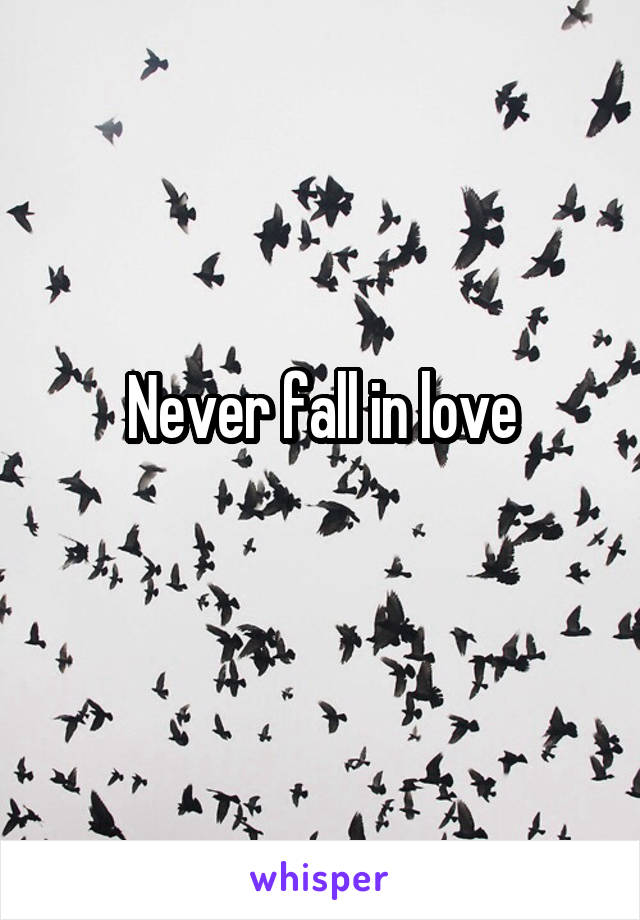 Never fall in love
