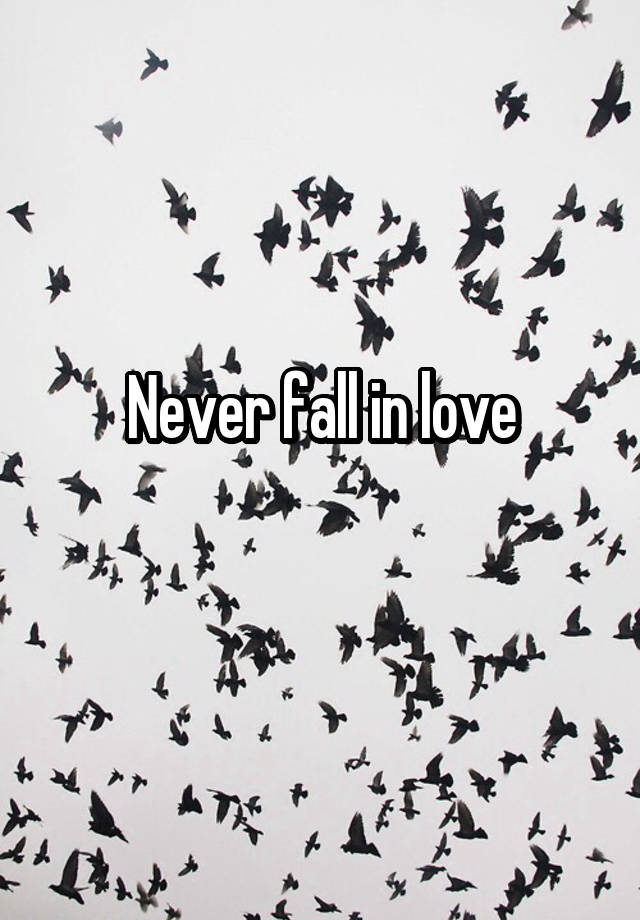 Never fall in love
