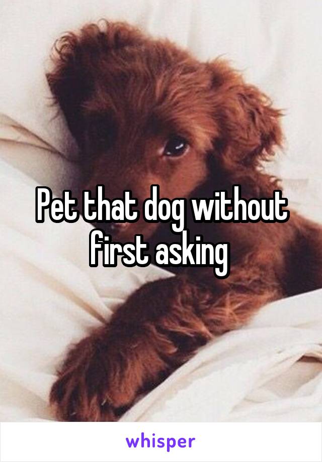 Pet that dog without first asking 