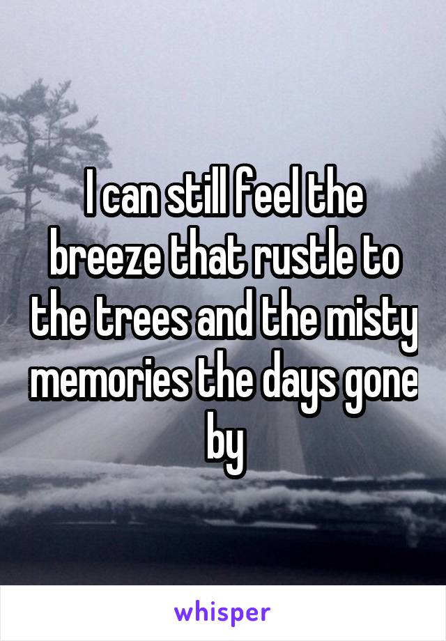 I can still feel the breeze that rustle to the trees and the misty memories the days gone by